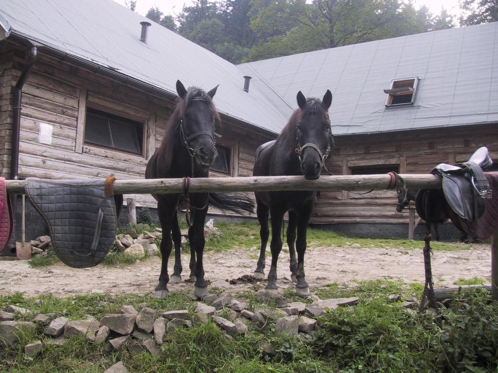 Osrodek Beskid Fizjo & Spa Korbielów Buitenkant foto