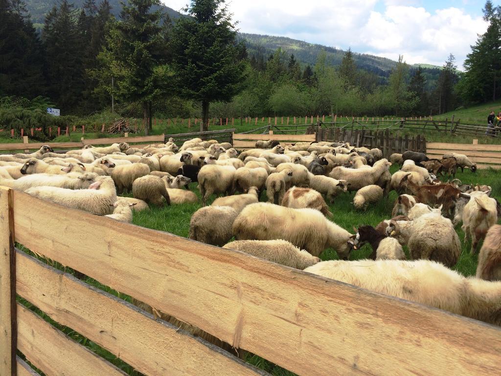 Osrodek Beskid Fizjo & Spa Korbielów Buitenkant foto